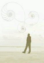 Man walking on beach, with picture of spiral shells in the sky